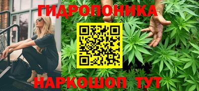 дживик Жуковский