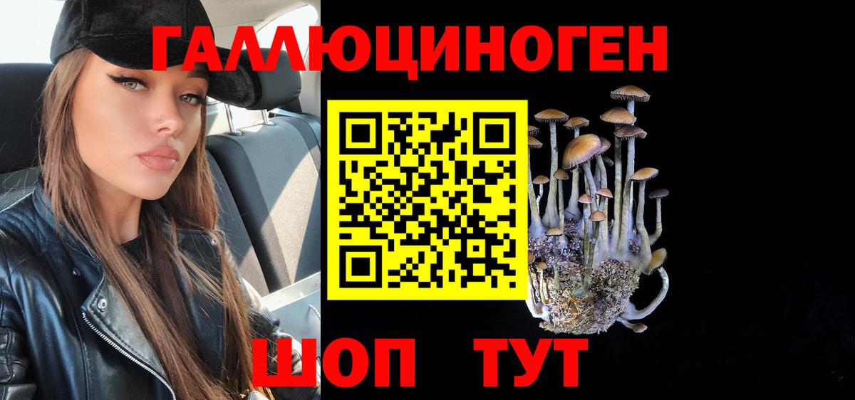 Псилоцибиновые грибы прущие грибы Луга