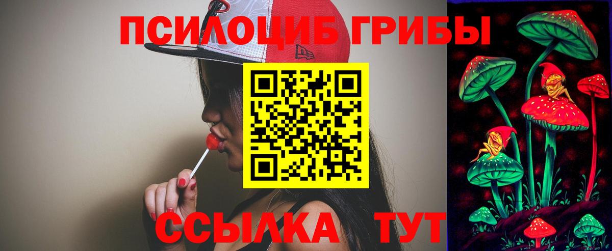 Луга  Псилоцибиновые грибы Psilocybine cubensis  Вход с VPN 